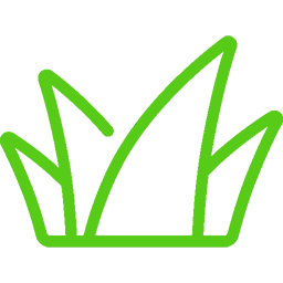 Weed & Vegetation Management